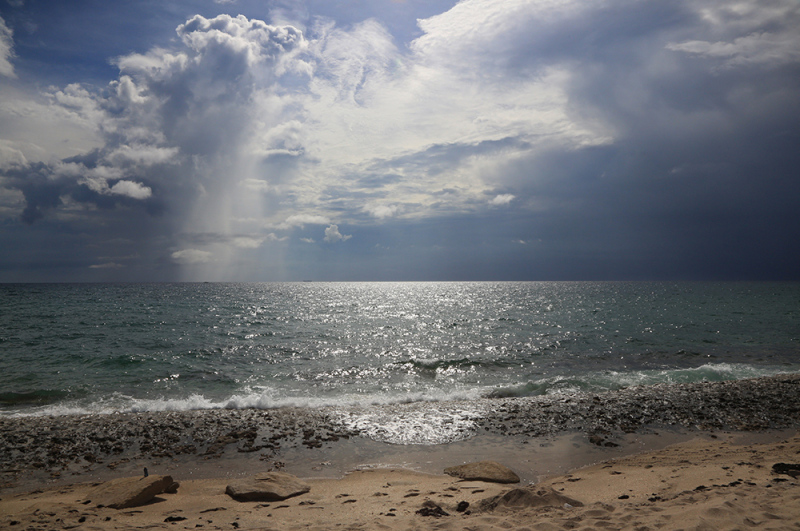Summer Rain Shower - Palm Beach, FL