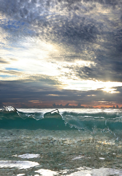 Calming Conditions - Palm Beach, FL