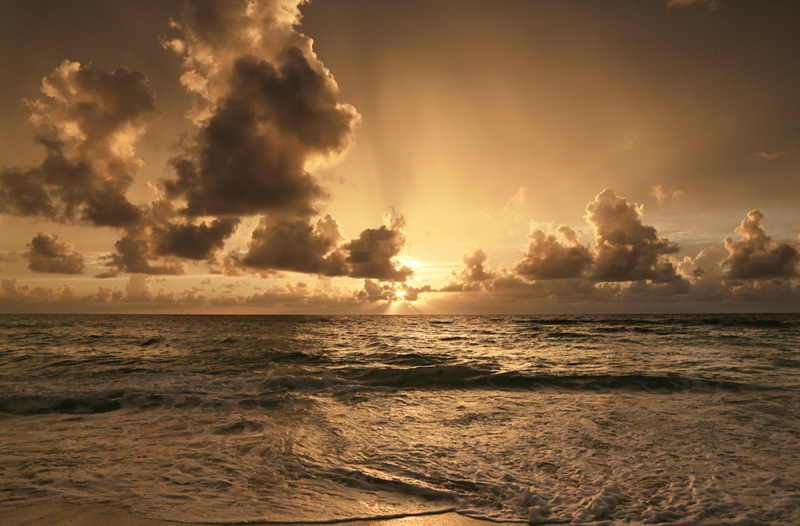 Copper Sunrise - Palm Beach, FL