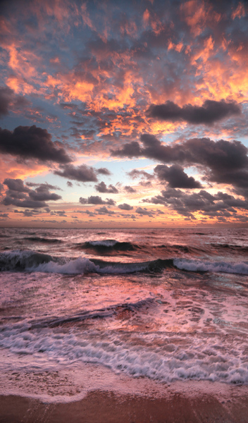 Fire Sky Sunrise - Palm Beach, FL