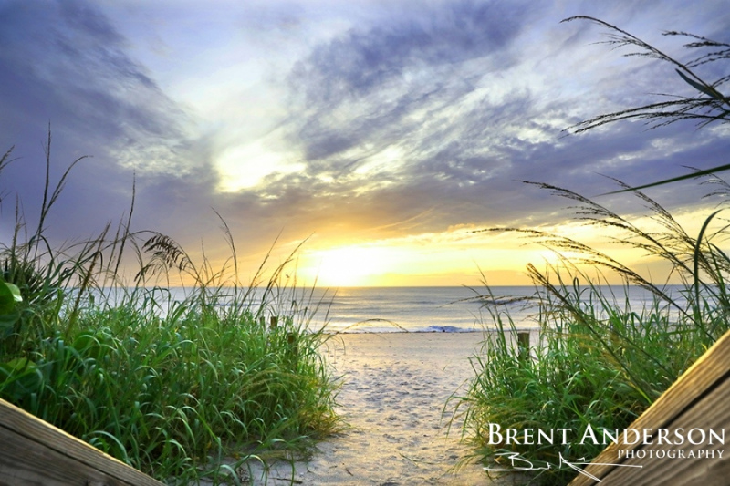 Sea Oat Sunrise - Palm Beach, FL
