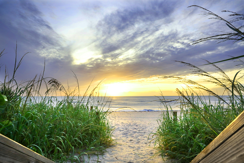 Sea Oat Sunrise - Palm Beach, FL