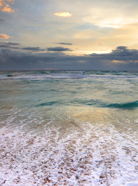 Rip Tide - Palm Beach, FL