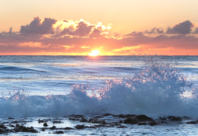 Surf and Sun - Palm Beach, FL
