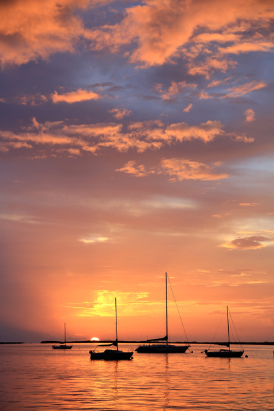 Sunset Sails - Palm Beach, FL