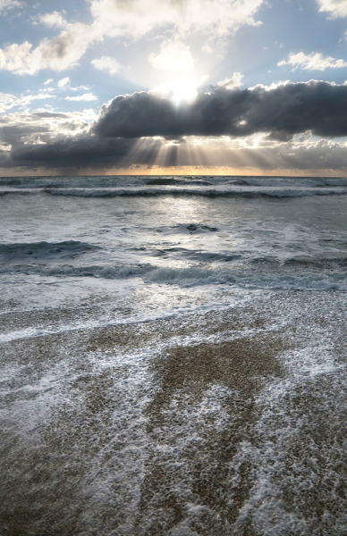 Sunburst Atlantic - Palm Beach, FL