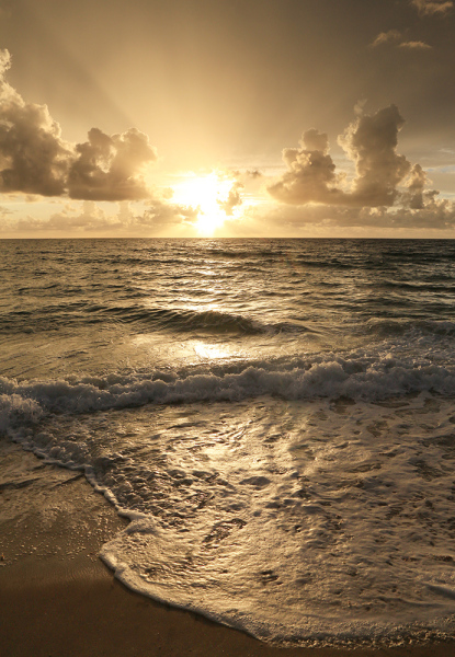 Copper Sunrise - Palm Beach, FL