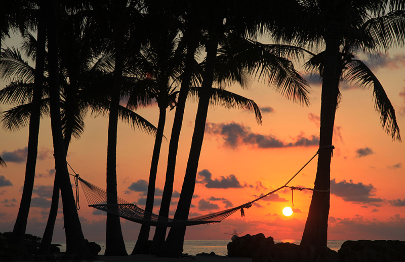 Hammock Sunset