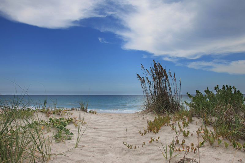 Dune Passage