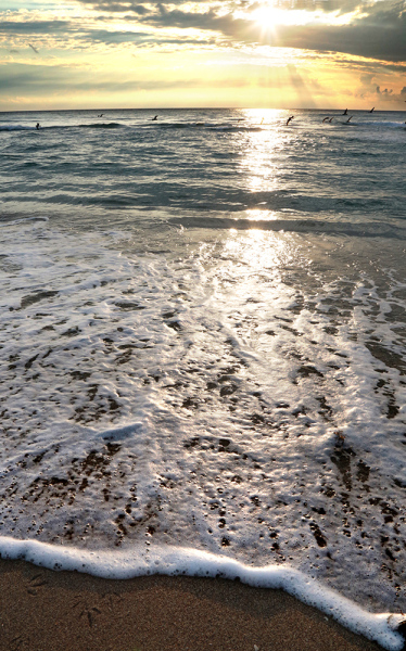 Morning Flight - Palm Beach, FL