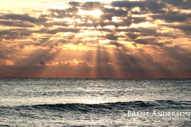 Atlantic Sunburst -  Palm Beach, FL