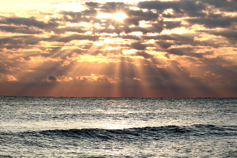 Atlantic Sunburst -  Palm Beach, FL