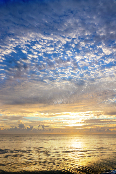Blue on Gold Sunrise - Palm Beach