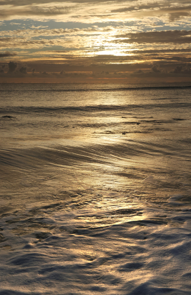 Copper Atlantic - Palm Beach