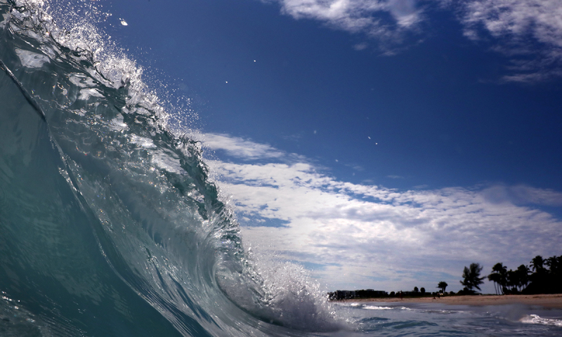 Crystal Curl 3 - Palm Beach