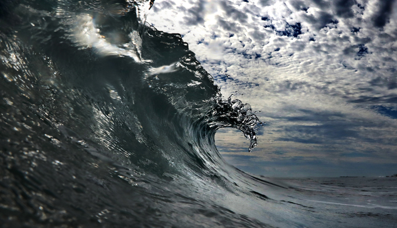 Crystal Curl - Palm Beach