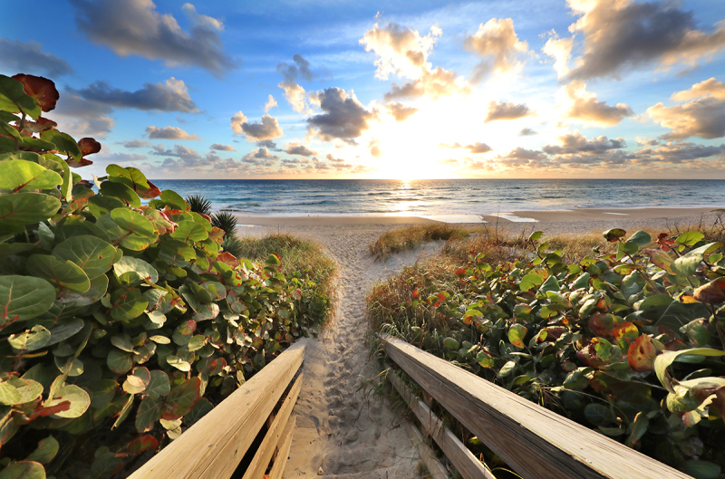Enter-Paradise