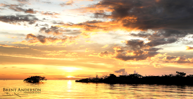 Florida Keys Beauty - Marathon Key, FL