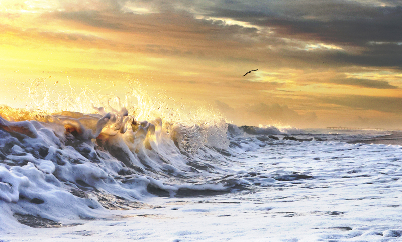 Golden Break - Palm Beach