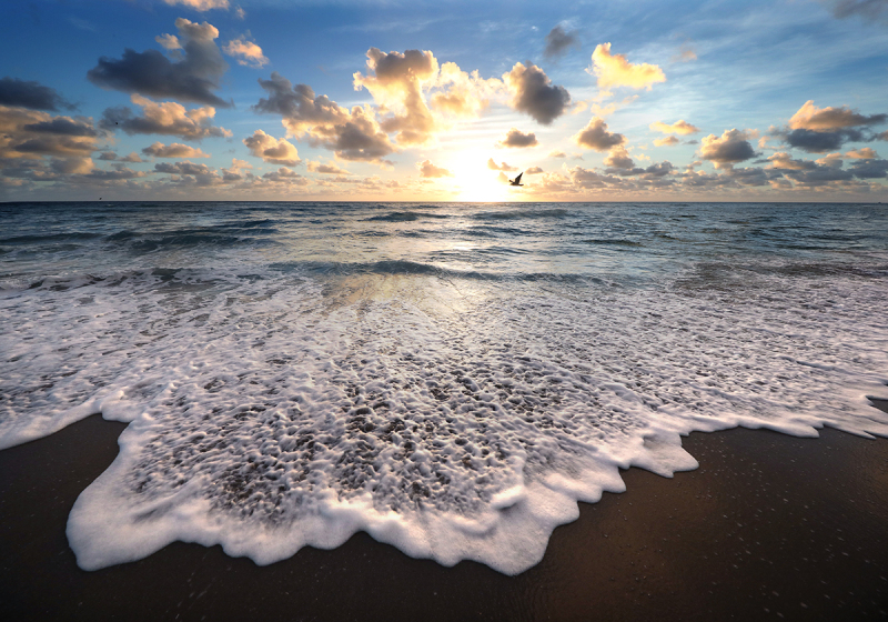 Salty-Sunrise