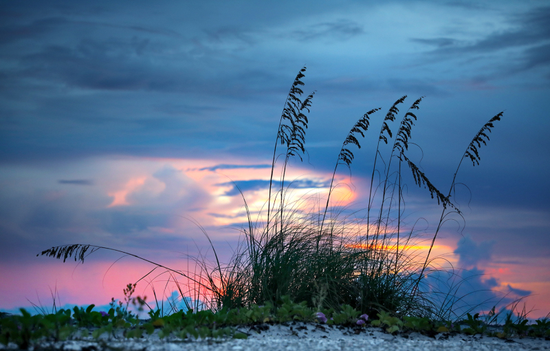 Sea Oats Sunset - Little Gaspirilla Island