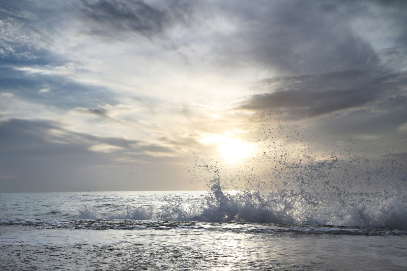 Sunrise Splash - Palm Beach