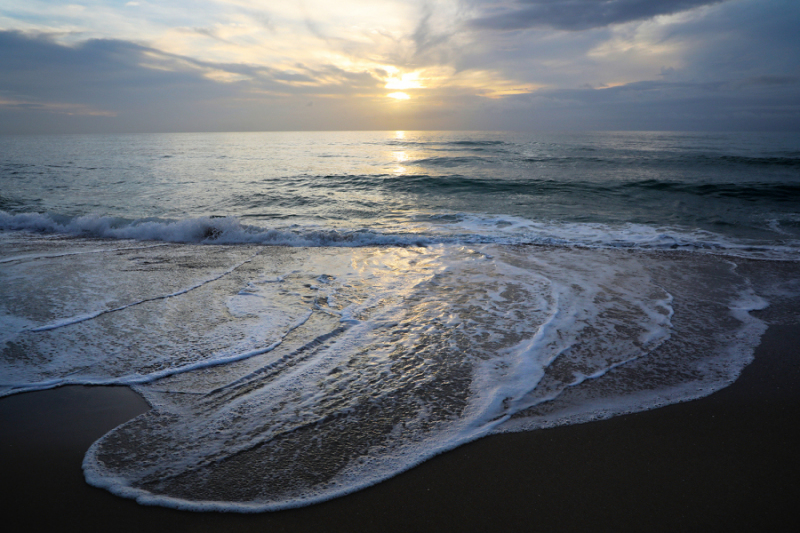 Sunrise Swirl - Palm Beach
