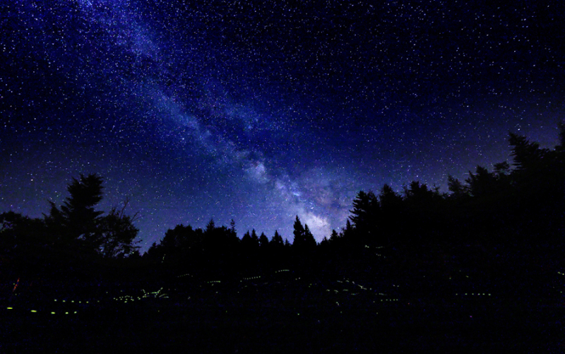 Firefly Milkyway - Stonington,  Maine