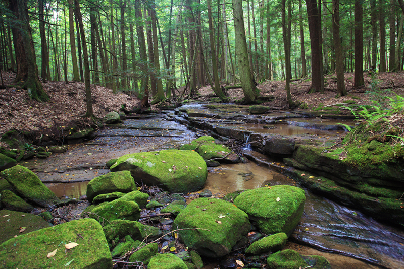 Boulders of Green