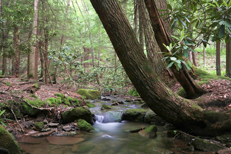 Calming Waters