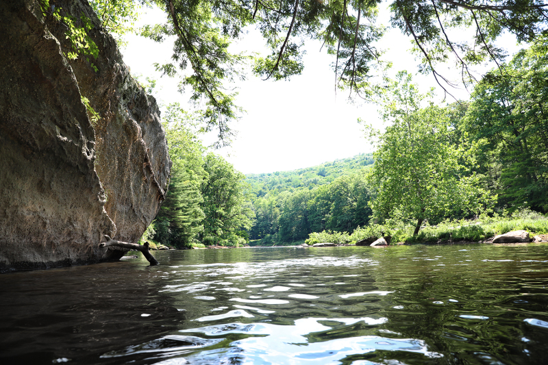 Clarion River 2020