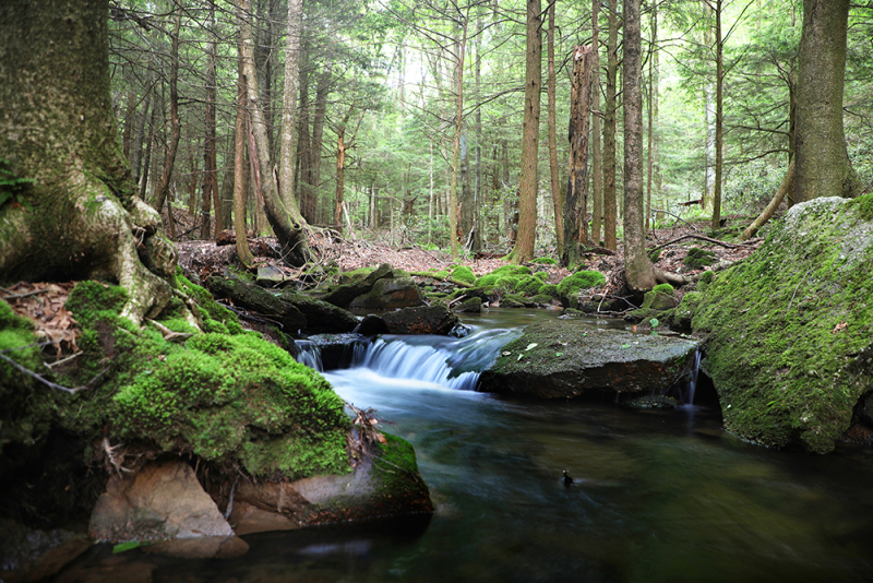 Crystal Falls