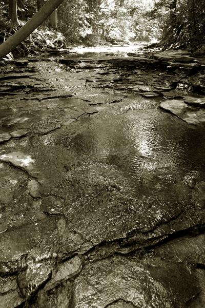 Horseshoe Falls