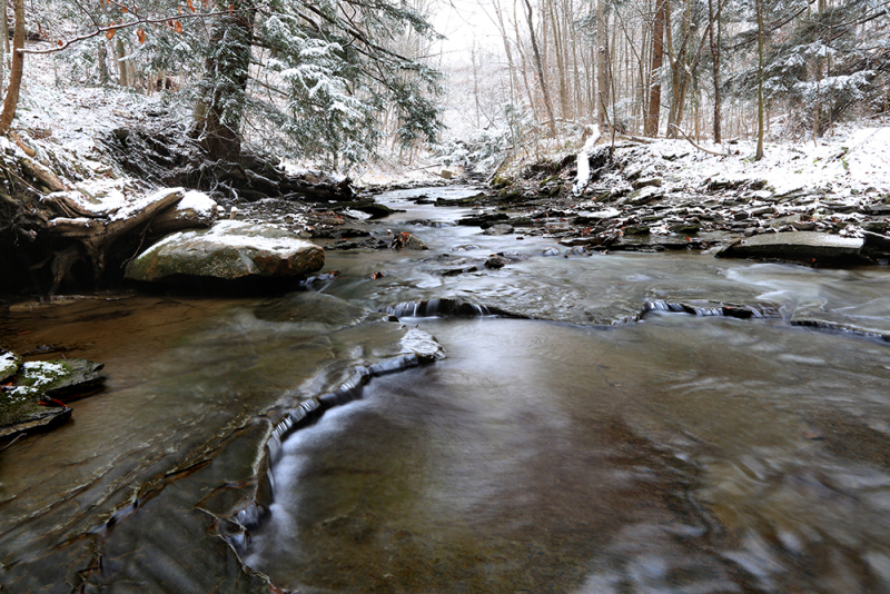 Icy Waters