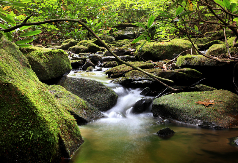 Mossy Rock Falls