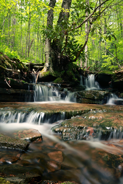 Mountain Stream