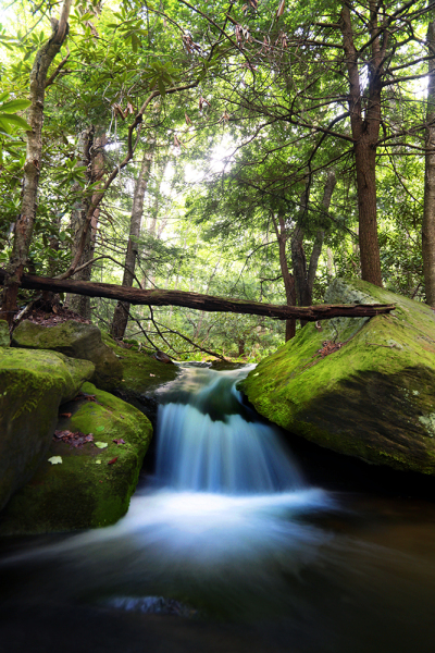 My Canon 5DMark IIs Last Shot