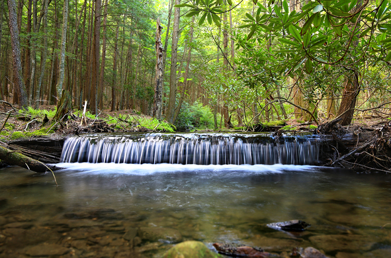 Natures Perfection
