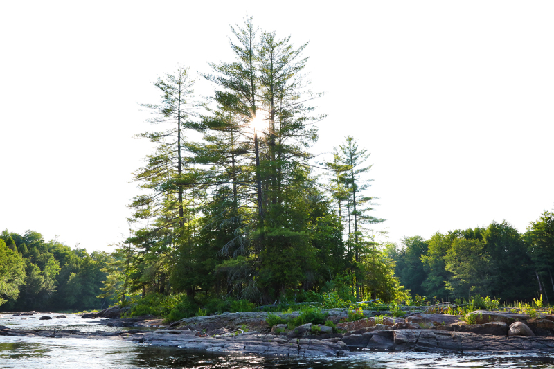 Pine Island