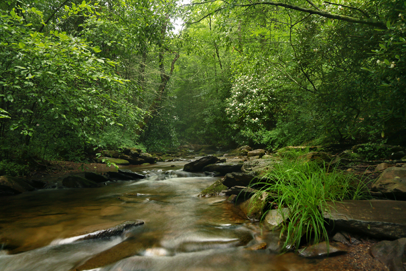 Rippling Waters