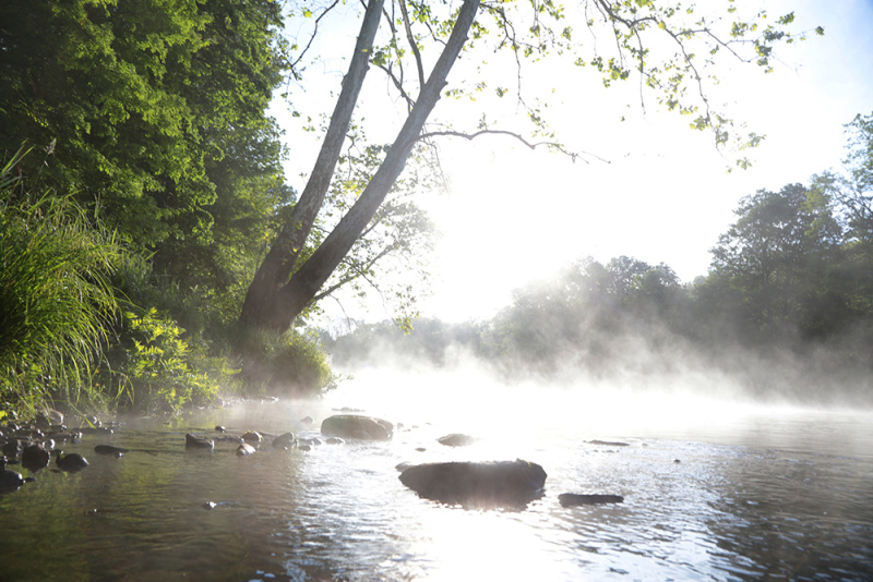 Rising Fog