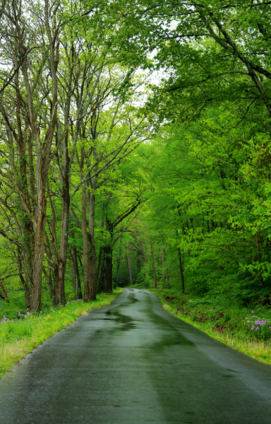 River Road