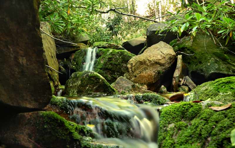 Spring Mountain