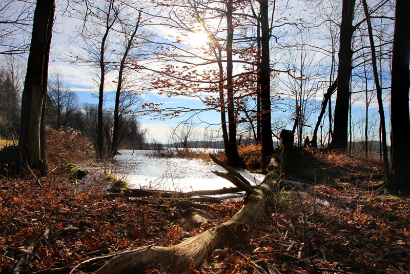 Winter Approaching
