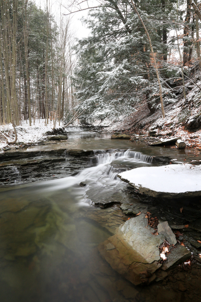 Winter Stream