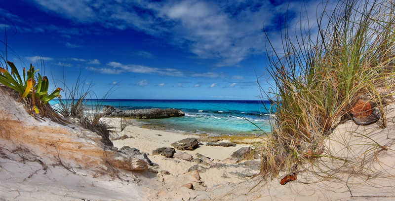 Island Escape