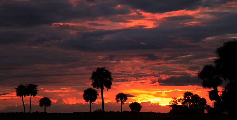 Fire in the Sky- Kissimmee River, Okeechobee, FL