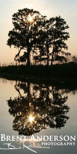 Cypress Reflections - Kissimmee River, Okeechobee, FL