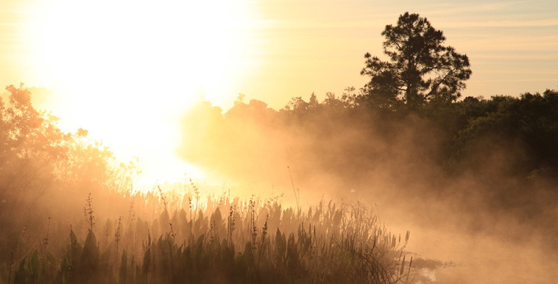 Misty Sunrise - Osceola, FL