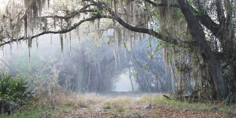 Mystic Path - Highlands, FL